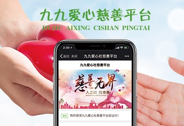 九九愛(ài)心慈善項目-愛(ài)迅科技原創